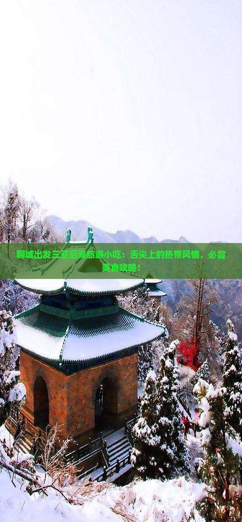 聊城出发三亚后海旅游小吃
