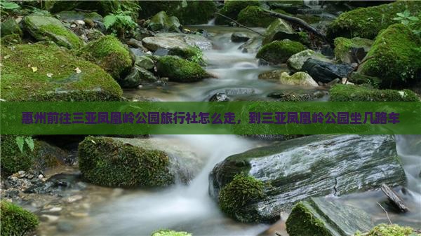 惠州前往三亚凤凰岭公园旅行社