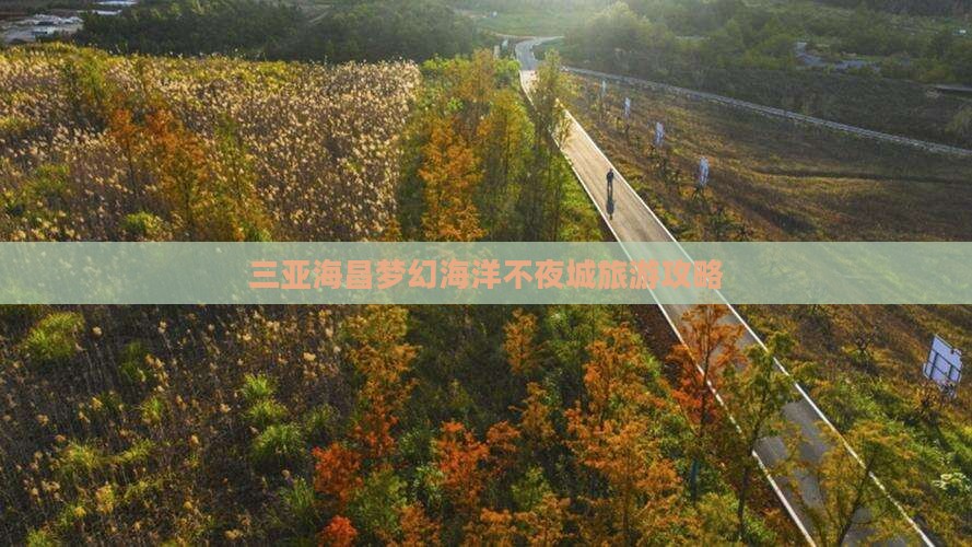 德州出发三亚海昌梦幻海洋不夜城旅游
