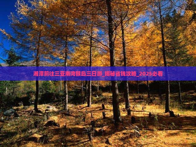 湘潭前往三亚南湾猴岛三日游