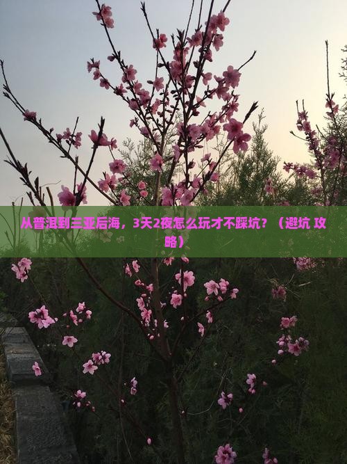 普洱去三亚后海旅游打卡点