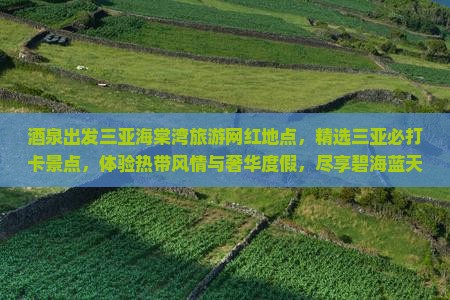 酒泉出发三亚海棠湾旅游网红地点