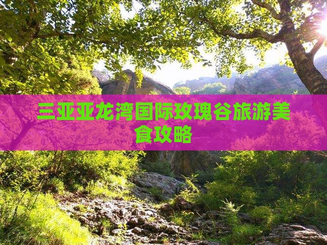 宿州去三亚亚龙湾国际玫瑰谷旅游小吃