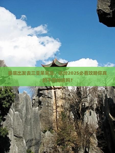 娄底前往三亚呆呆岛大型旅游团