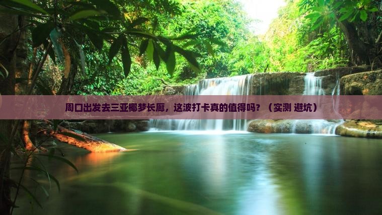 周口去三亚椰梦长廊旅游打卡点