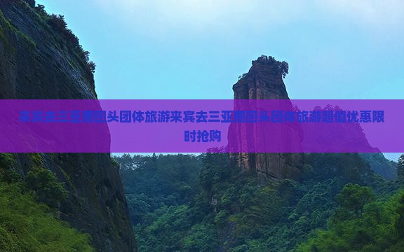 来宾去三亚鹿回头团体旅游