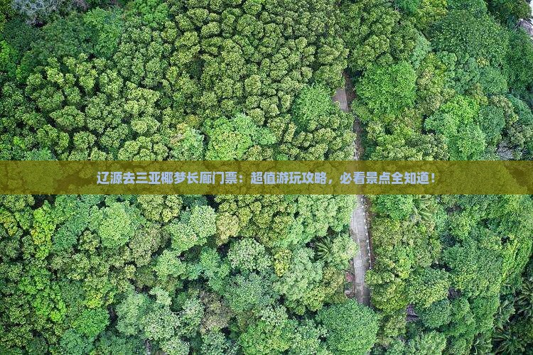辽源去三亚椰梦长廊门票