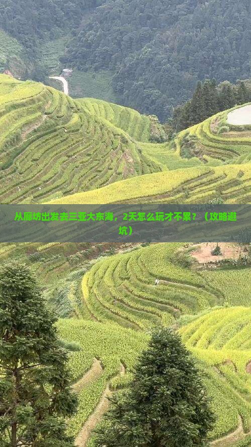 廊坊前往三亚大东海二日游