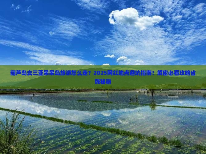 葫芦岛去三亚呆呆岛旅游网红地点