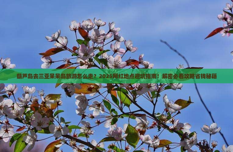 葫芦岛去三亚呆呆岛旅游网红地点