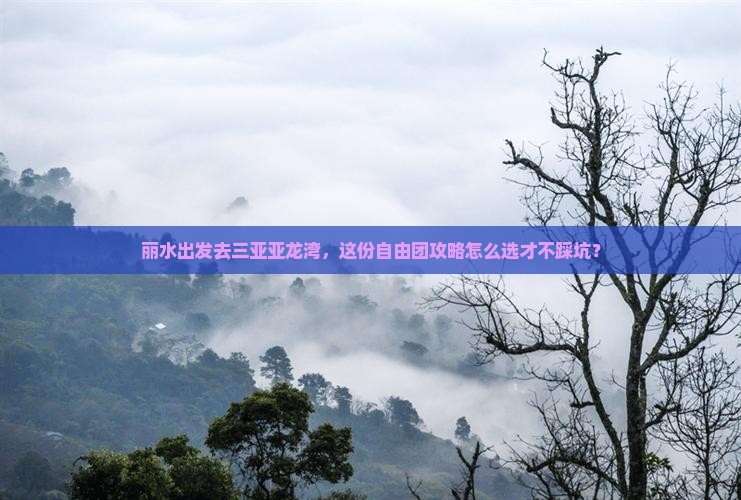 丽水前往三亚亚龙湾自由团