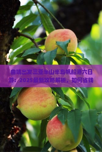 曲靖出发三亚半山半岛帆船港六日游