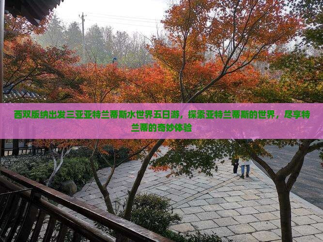 西双版纳出发三亚亚特兰蒂斯水世界五日游