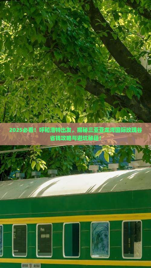 呼和浩特前往三亚亚龙湾国际玫瑰谷攻略