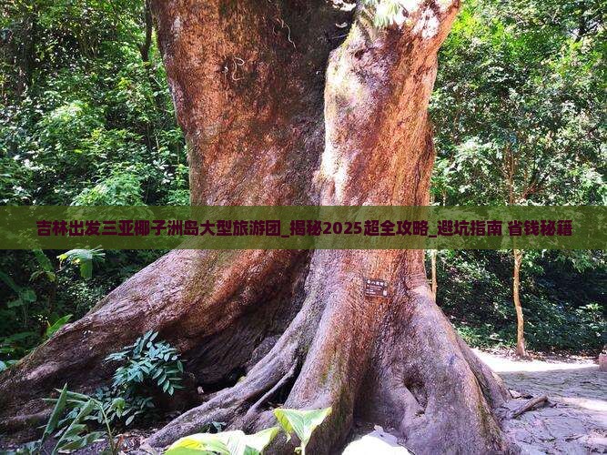 吉林出发三亚椰子洲岛大型旅游团
