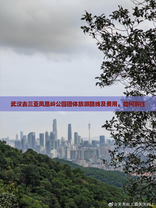 武汉去三亚凤凰岭公园团体旅游