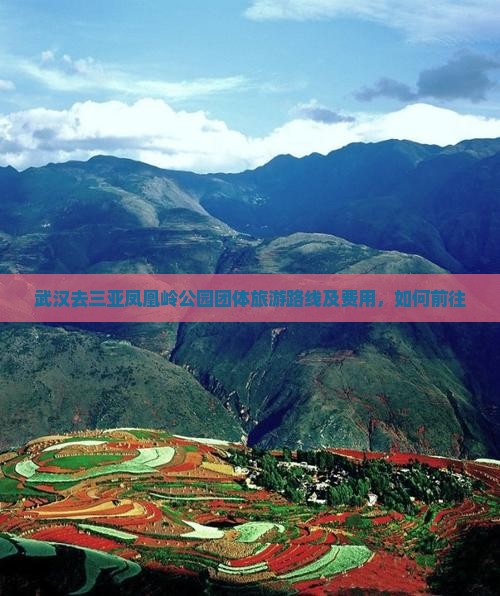 武汉去三亚凤凰岭公园团体旅游
