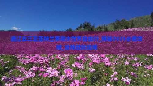 通辽去三亚亚特兰蒂斯水世界自由行 通辽去三亚亚特兰蒂斯水世界自由行