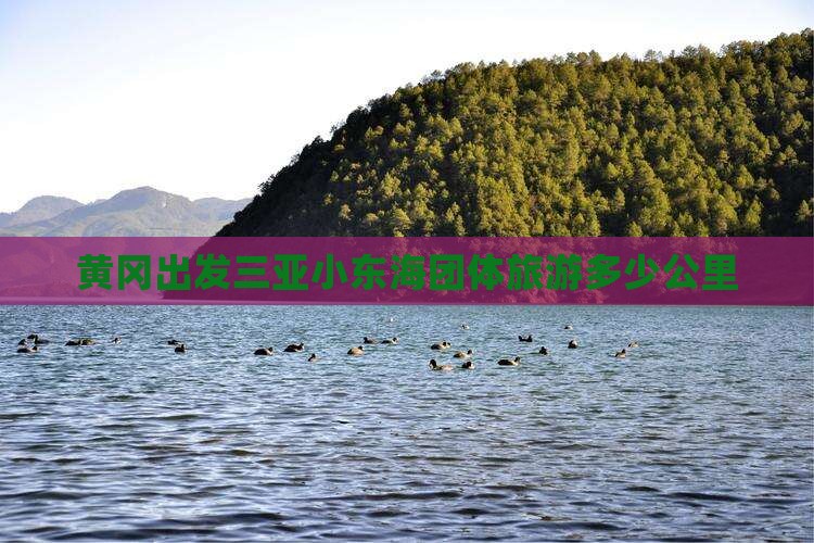 黄冈出发三亚小东海团体旅游