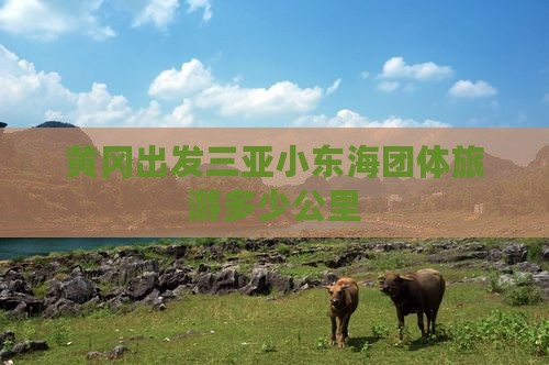 黄冈出发三亚小东海团体旅游