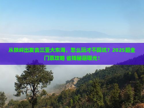 铁岭出发三亚大东海门票