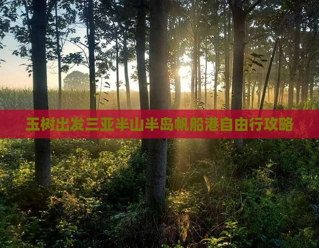 玉树出发三亚半山半岛帆船港自由行