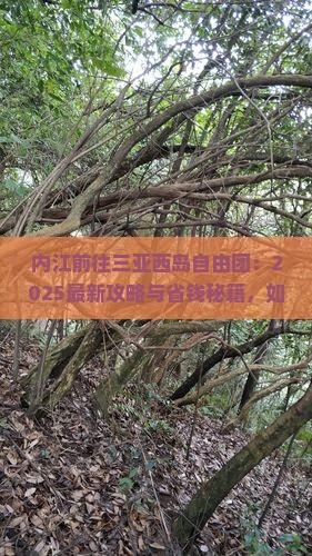 内江前往三亚西岛自由团