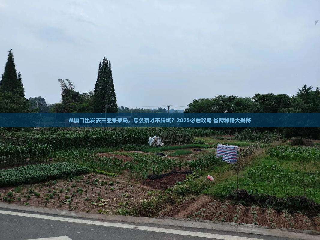 厦门出发三亚呆呆岛攻略 厦门出发三亚呆呆岛攻略