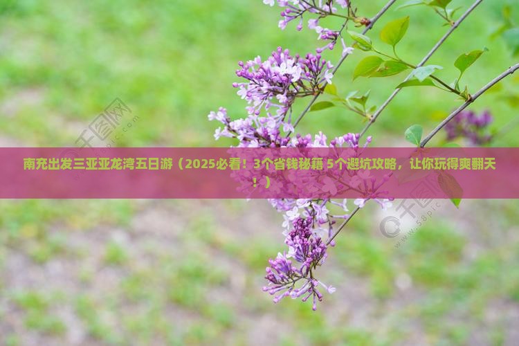 南充前往三亚亚龙湾五日游