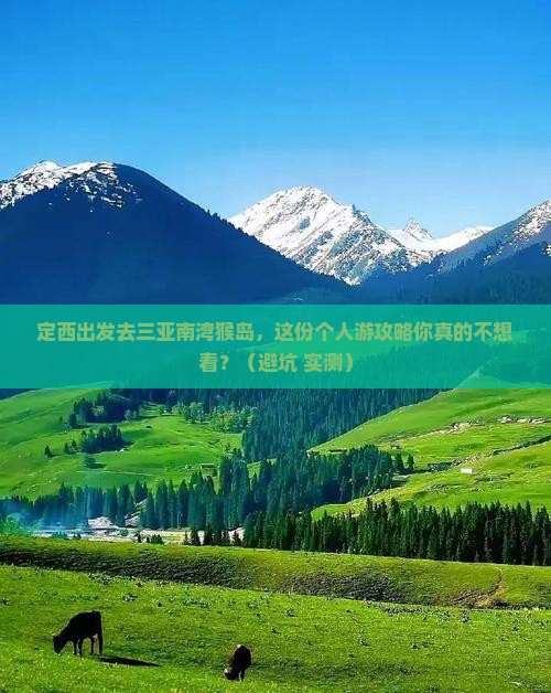 定西去三亚南湾猴岛个人游