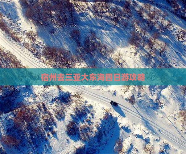 宿州去三亚大东海四日游
