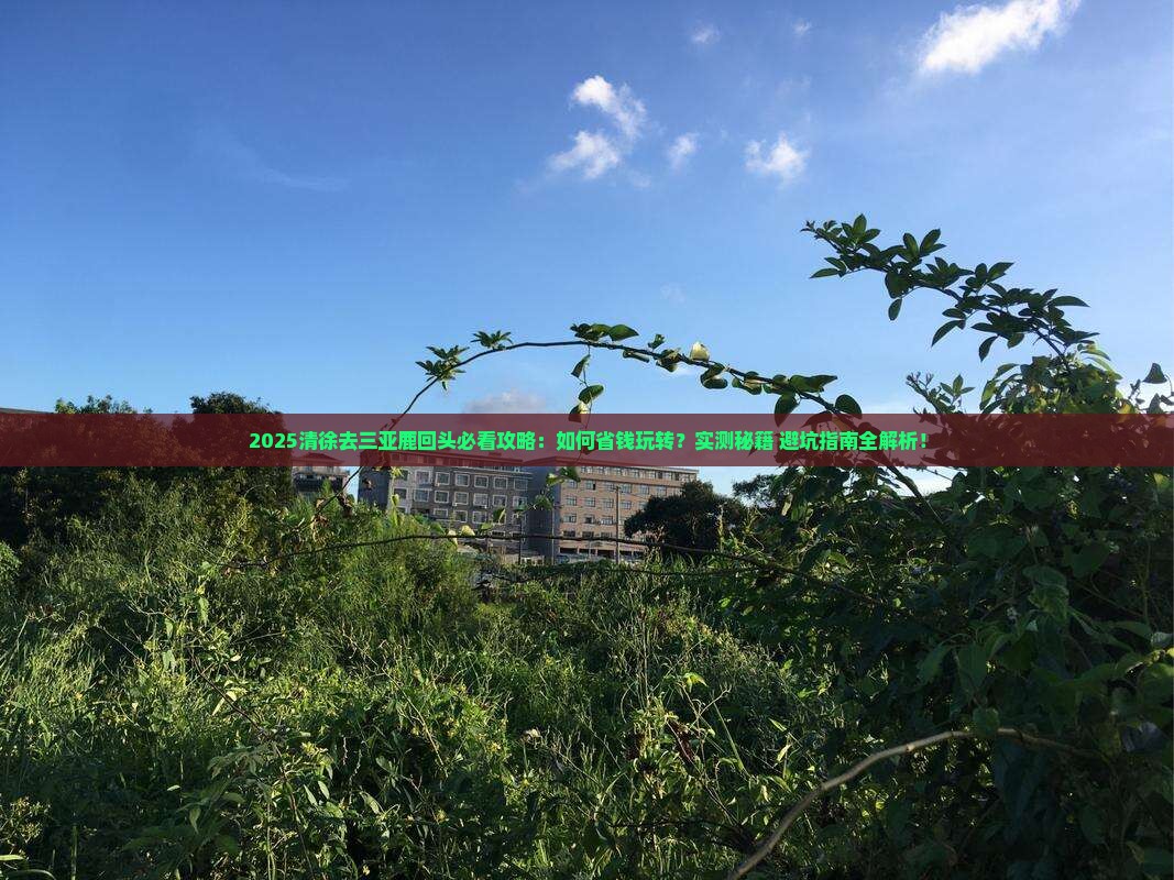 清徐去三亚鹿回头攻略