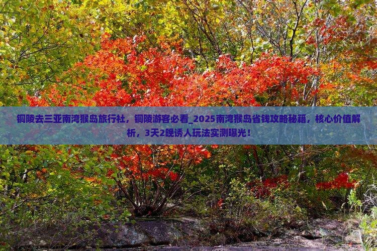 铜陵去三亚南湾猴岛旅行社