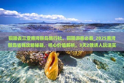 铜陵去三亚南湾猴岛旅行社