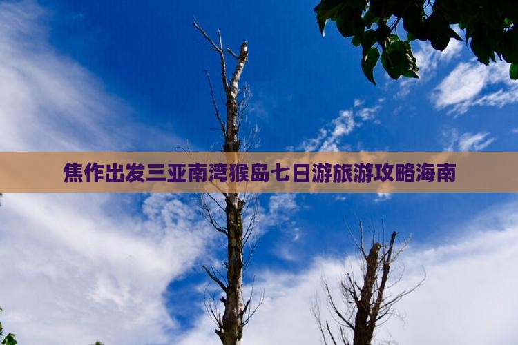 焦作出发三亚南湾猴岛七日游