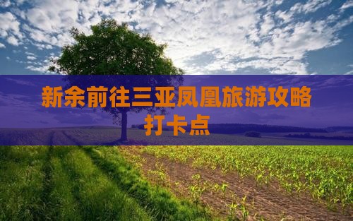 新余前往三亚凤凰岛旅游打卡点