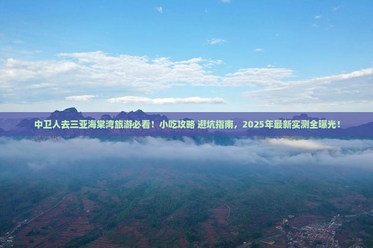 中卫去三亚海棠湾旅游小吃