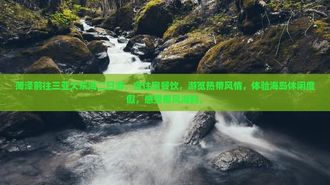 菏泽前往三亚大东海二日游