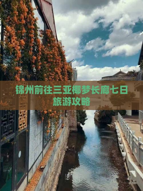 锦州前往三亚椰梦长廊七日游