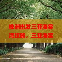 株洲出发三亚海棠湾攻略