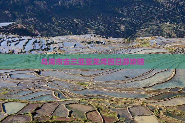 乌海市去三亚亚龙湾四日游