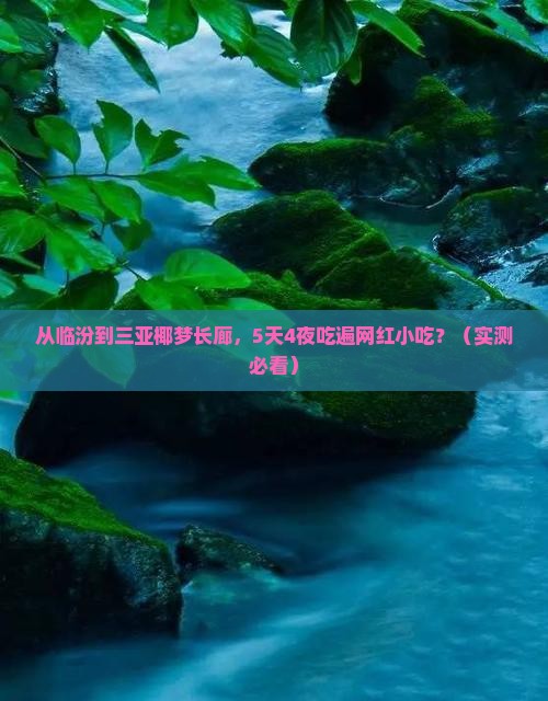 临汾前往三亚椰梦长廊旅游小吃