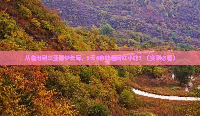 临汾前往三亚椰梦长廊旅游小吃