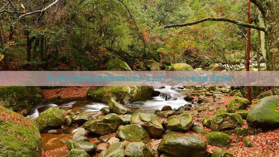 舟山前往三亚呀诺达景区旅游网红地点