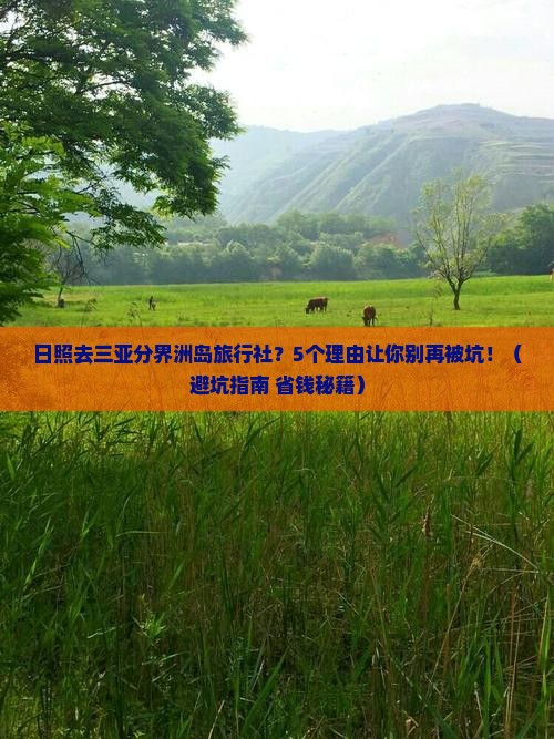 日照去三亚分界洲岛旅行社