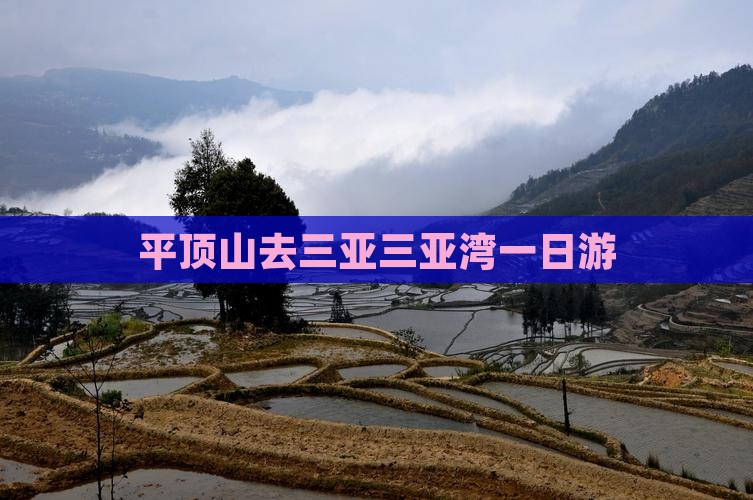 平顶山去三亚三亚湾一日游