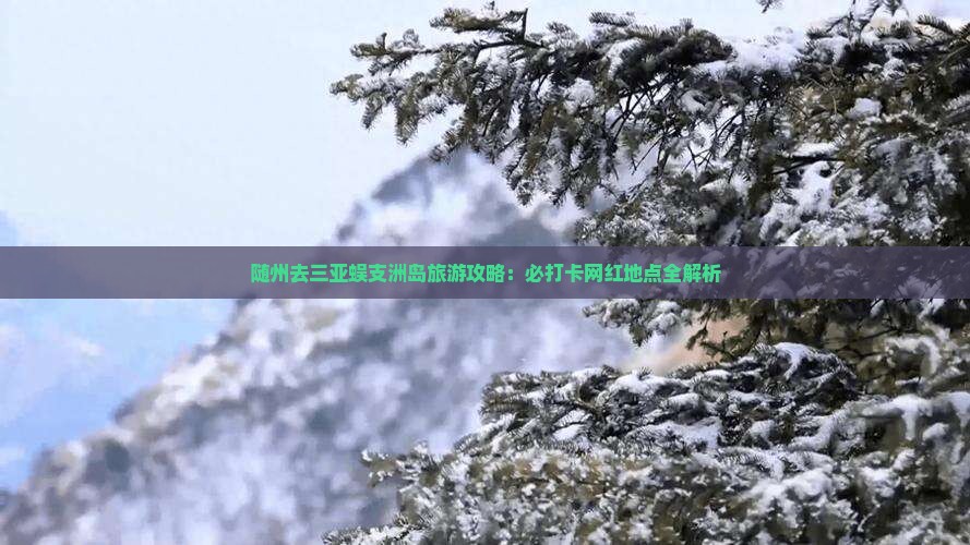 随州去三亚蜈支洲岛旅游网红地点