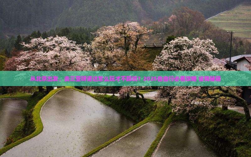北京去三亚呀诺达景区自由行