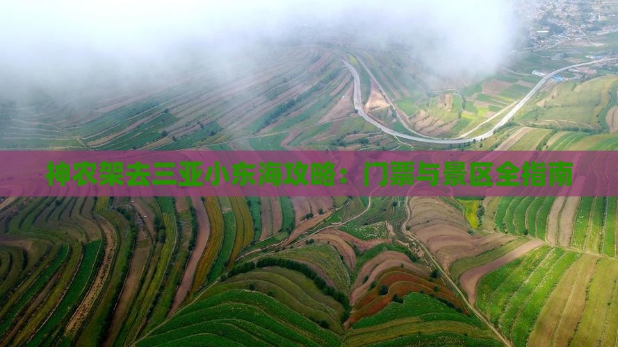 神农架去三亚小东海门票