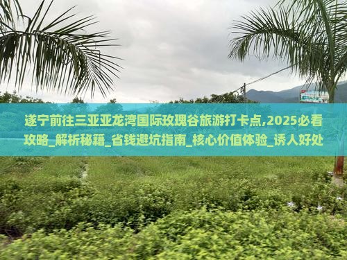 遂宁前往三亚亚龙湾国际玫瑰谷旅游打卡点